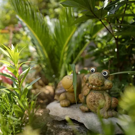 Zlata Stari Grad (Hvar)