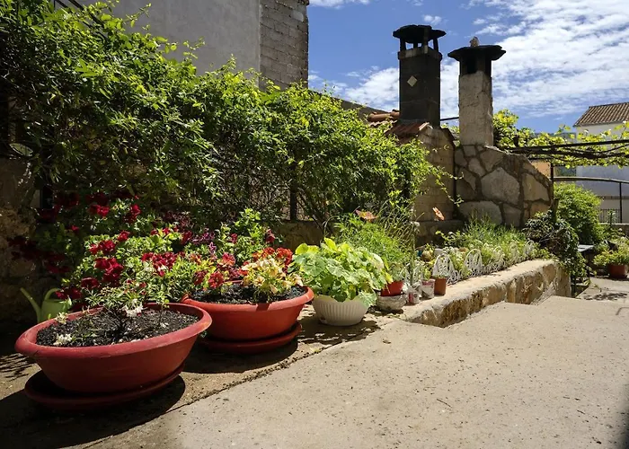 Zlata Διαμέρισμα *