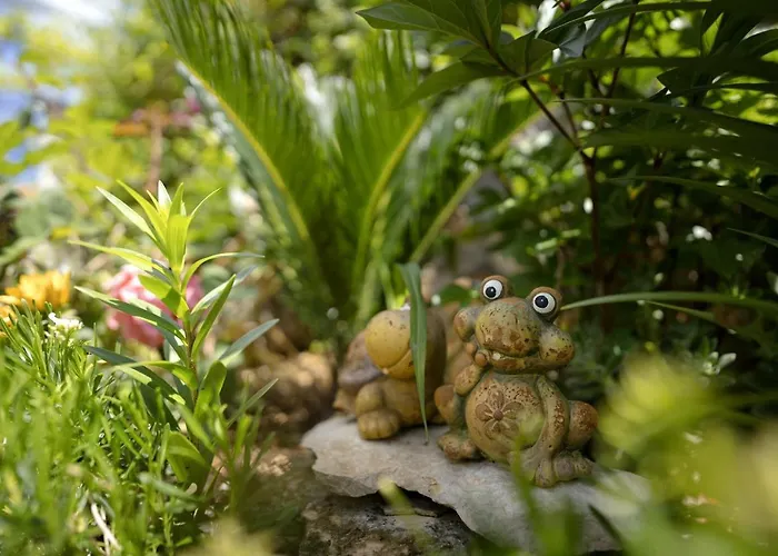 Zlata Stari Grad (Hvar)