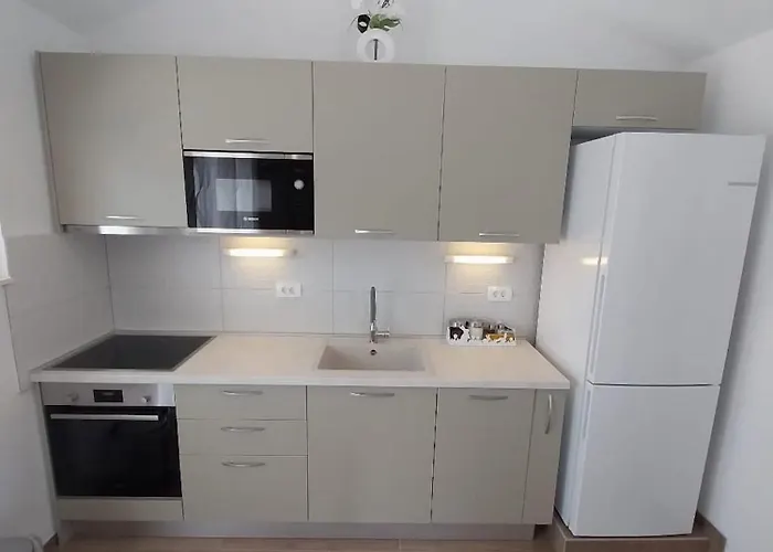 Διαμέρισμα Zlata *